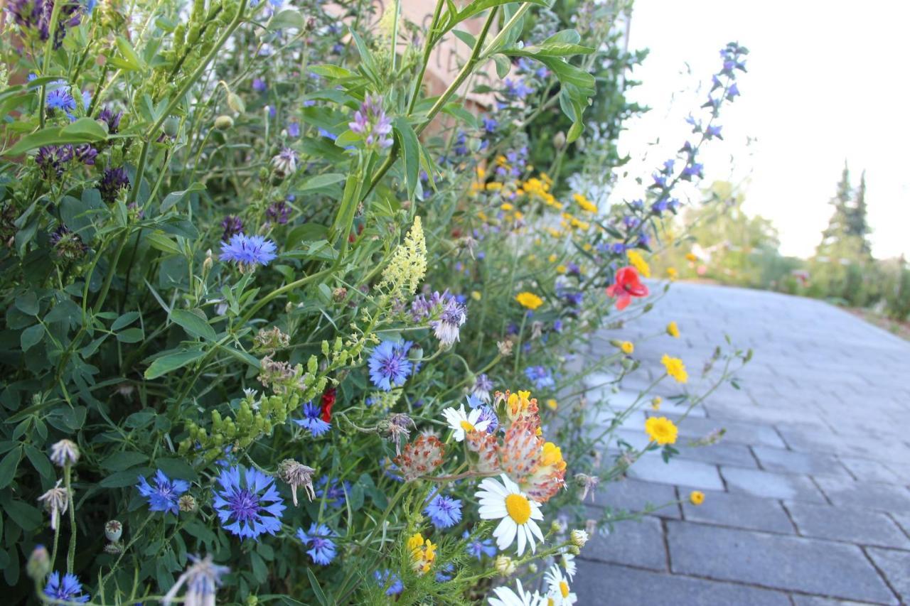 Ferienwohnungen "Blumenwiese" Dillingen an der Donau Extérieur photo